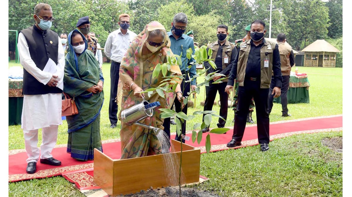 বৃক্ষরোপন অভিযান (Plantation campaign)