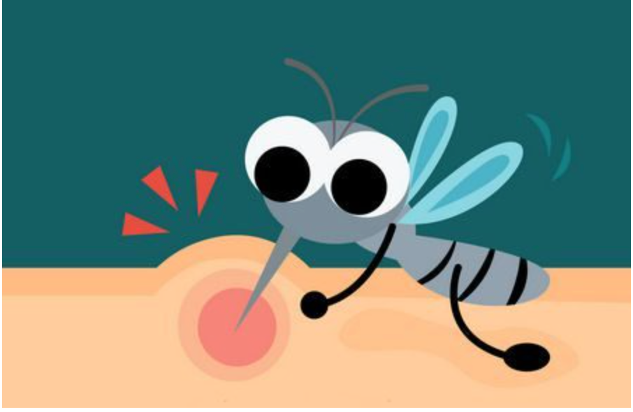ম্যালেরিয়া (Malaria)