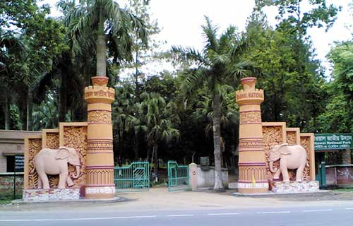 বাংলাদেমের জাতীয় র্পাক ভাওয়াল ন্যাশনাল পার্ক (গাজীপুর) Bhawal National Park (Gazipur)