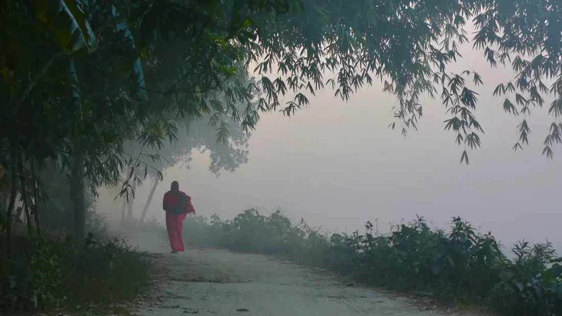 শীতের সময় বাংলাদেশ কেমন রূপ ধারন করে | What does Bangladesh look like in winter?