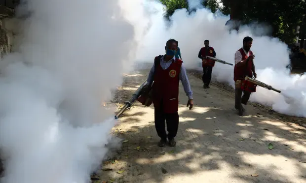 ডেঙ্গু/ এডিস মশা (National Dengue Day)