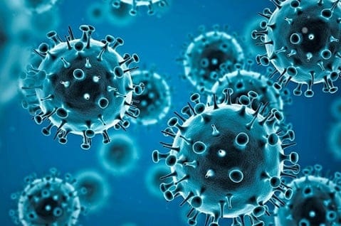 করোনা ভাইরাস (Corona Virus)