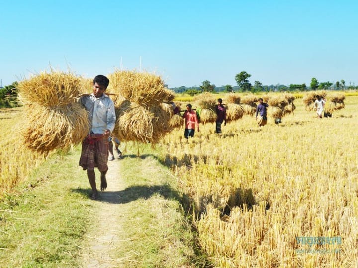 নবান্ন উৎসব (Navanna Festival)
