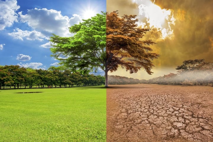 বৈশ্বিক উষ্ণতা (Global Warming)