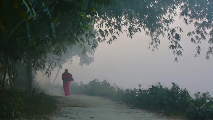 শীতের সময় বাংলাদেশ কেমন রূপ ধারন করে | What does Bangladesh look like in winter?