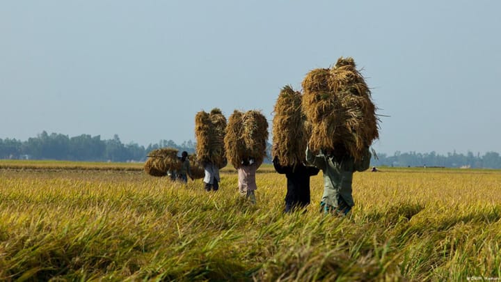 বাংলাদেশের কৃষি ও কৃষক (Agriculture and Farmers of Bangladesh)