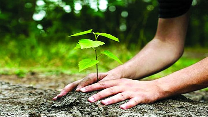 পরিবেশ রক্ষায় বন (Forests to Protect the Environment)
