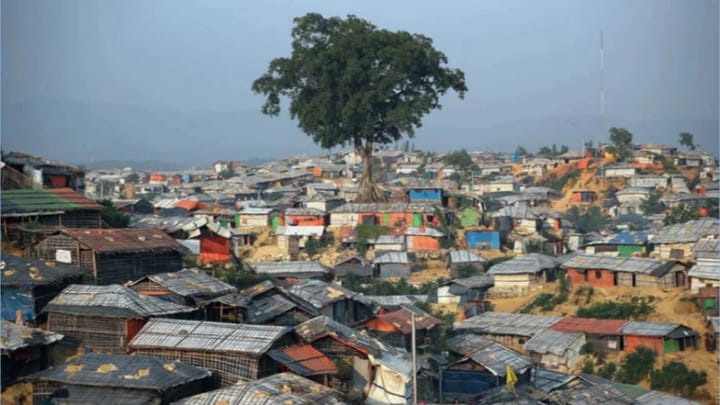 রোহিঙ্গা নৈরাজ্য (Rohingya in Chaos)