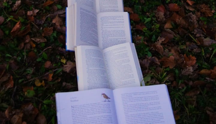 বাংলাদেশের সাহিত্যের সম্ভাবনা (Potential of Bangladesh Literature)