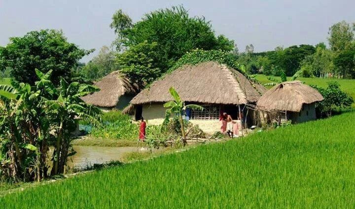 জীবন ও জীবিকা (Life and Livelihood)