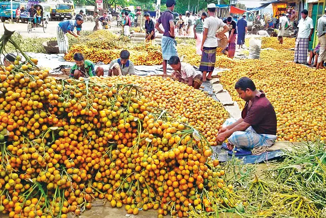 টেকনাফে সুপারির অপার সম্ভাবনা রয়েছে (Teknaf's Betal Nut)
